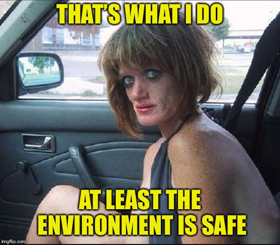 crack whore hooker | THAT’S WHAT I DO AT LEAST THE ENVIRONMENT IS SAFE | image tagged in crack whore hooker | made w/ Imgflip meme maker