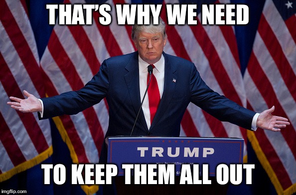 Donald Trump | THAT’S WHY WE NEED TO KEEP THEM ALL OUT | image tagged in donald trump | made w/ Imgflip meme maker