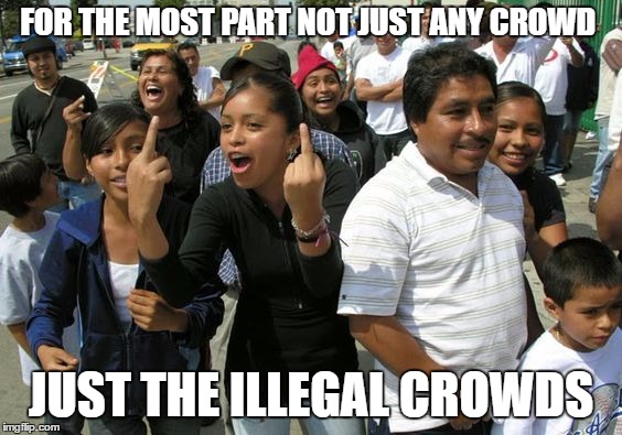 FOR THE MOST PART NOT JUST ANY CROWD JUST THE ILLEGAL CROWDS | made w/ Imgflip meme maker