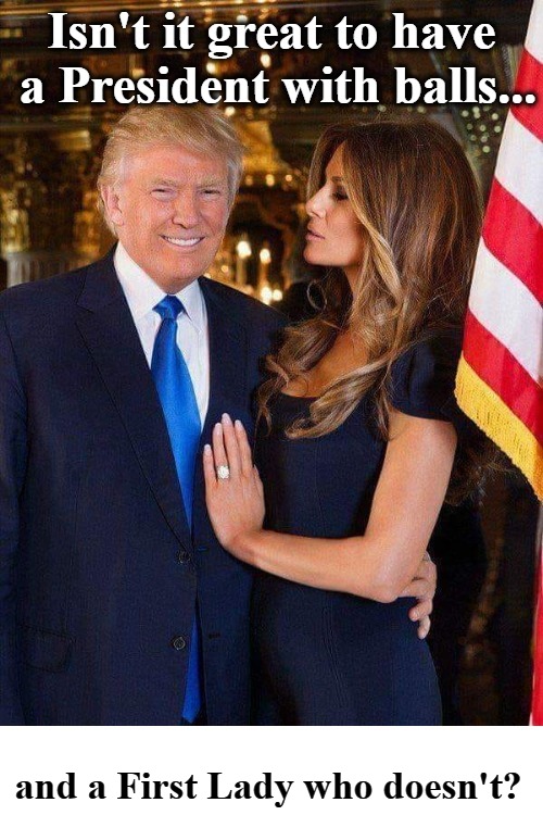 Isn't it great to have a President with balls? | and a First Lady who doesn't? | image tagged in potus45,flotus45,balls,cojones,annoy a liberal | made w/ Imgflip meme maker