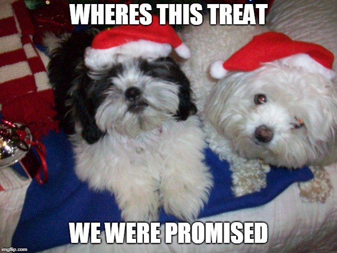 WHERES THIS TREAT; WE WERE PROMISED | image tagged in smile for the camera | made w/ Imgflip meme maker