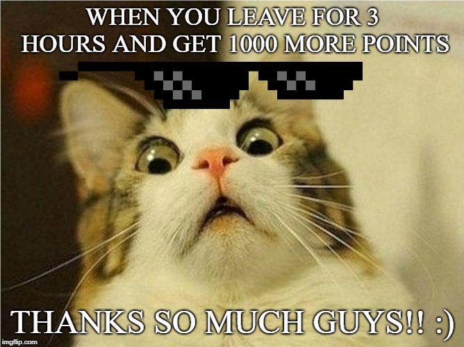 Suprised Cat | WHEN YOU LEAVE FOR 3 HOURS AND GET 1000 MORE POINTS; THANKS SO MUCH GUYS!! :) | image tagged in suprised cat | made w/ Imgflip meme maker