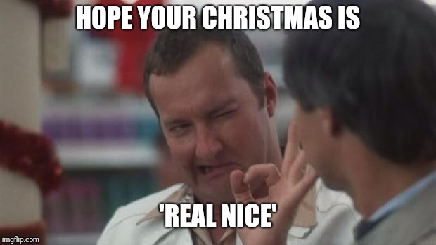 Real Nice - Christmas Vacation | HOPE YOUR CHRISTMAS IS; 'REAL NICE' | image tagged in real nice - christmas vacation | made w/ Imgflip meme maker