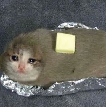 Sad potato cat Blank Meme Template