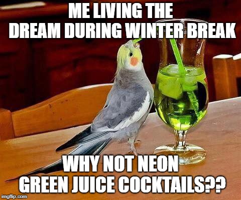 Big Sip | ME LIVING THE DREAM DURING WINTER BREAK; WHY NOT NEON GREEN JUICE COCKTAILS?? | image tagged in big sip | made w/ Imgflip meme maker
