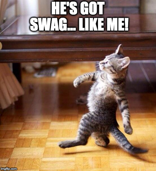 Swag cat | HE'S GOT SWAG... LIKE ME! | image tagged in swag cat | made w/ Imgflip meme maker
