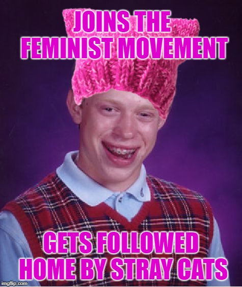 JOINS THE FEMINIST MOVEMENT GETS FOLLOWED HOME BY STRAY CATS | made w/ Imgflip meme maker