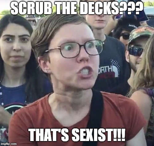 Triggered feminist | SCRUB THE DECKS??? THAT'S SEXIST!!! | image tagged in triggered feminist | made w/ Imgflip meme maker