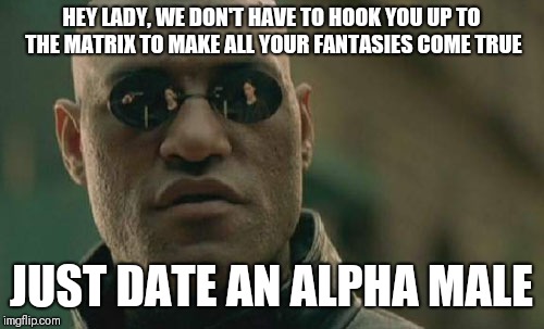 Matrix Morpheus Meme | HEY LADY, WE DON'T HAVE TO HOOK YOU UP TO THE MATRIX TO MAKE ALL YOUR FANTASIES COME TRUE; JUST DATE AN ALPHA MALE | image tagged in memes,matrix morpheus | made w/ Imgflip meme maker