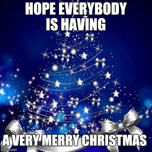 Merry Christmas  | HOPE EVERYBODY IS HAVING; A VERY MERRY CHRISTMAS | image tagged in merry christmas | made w/ Imgflip meme maker