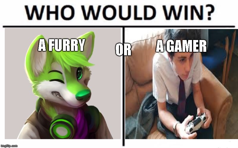 Who Would Win? Meme | A FURRY; A GAMER; OR | image tagged in memes,who would win | made w/ Imgflip meme maker