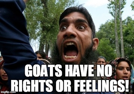 Muslim Rage Boy 2 | GOATS HAVE NO RIGHTS OR FEELINGS! | image tagged in muslim rage boy 2 | made w/ Imgflip meme maker