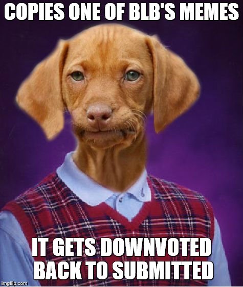 Bad Luck Raydog | COPIES ONE OF BLB'S MEMES IT GETS DOWNVOTED BACK TO SUBMITTED | image tagged in bad luck raydog | made w/ Imgflip meme maker