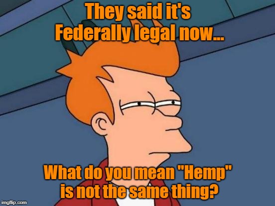 Futurama Fry | They said it's Federally legal now... What do you mean "Hemp" is not the same thing? | image tagged in memes,futurama fry | made w/ Imgflip meme maker