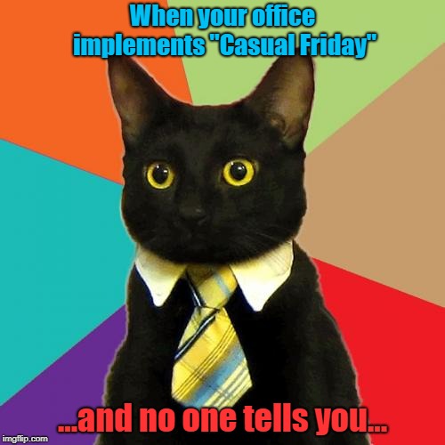 Business Cat | When your office implements "Casual Friday"; ...and no one tells you... | image tagged in memes,business cat | made w/ Imgflip meme maker