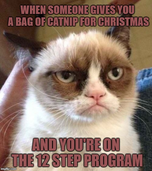 Grumpy Cat Reverse Meme | WHEN SOMEONE GIVES YOU A BAG OF CATNIP FOR CHRISTMAS; AND YOU'RE ON THE 12 STEP PROGRAM | image tagged in memes,grumpy cat reverse,grumpy cat | made w/ Imgflip meme maker