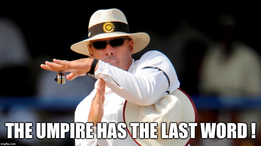 Cricket Umpire DRS | THE UMPIRE HAS THE LAST WORD ! | image tagged in cricket umpire drs | made w/ Imgflip meme maker
