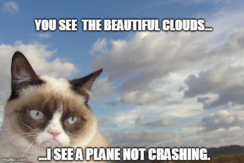 Grumpy Cat Sky Meme | YOU SEE  THE BEAUTIFUL CLOUDS... ...I SEE A PLANE NOT CRASHING. | image tagged in memes,grumpy cat sky,grumpy cat | made w/ Imgflip meme maker