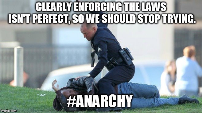 perfect solution fallacy | CLEARLY ENFORCING THE LAWS ISN'T PERFECT, SO WE SHOULD STOP TRYING. #ANARCHY | image tagged in cop beating | made w/ Imgflip meme maker