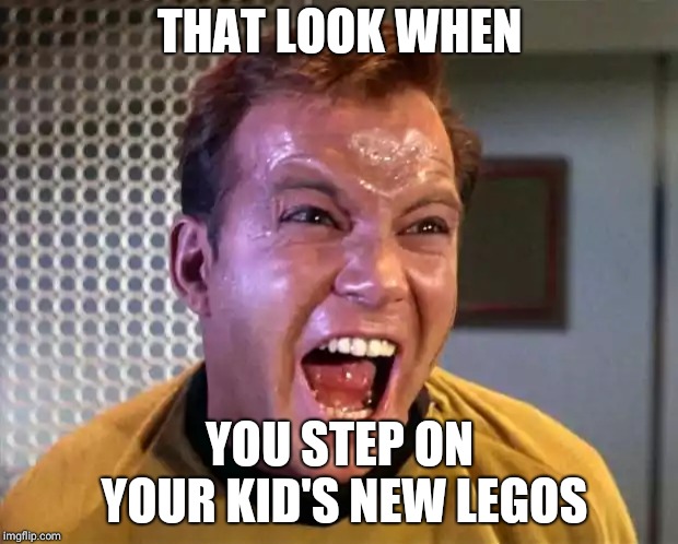 Captain Kirk Screaming | THAT LOOK WHEN; YOU STEP ON YOUR KID'S NEW LEGOS | image tagged in captain kirk screaming | made w/ Imgflip meme maker