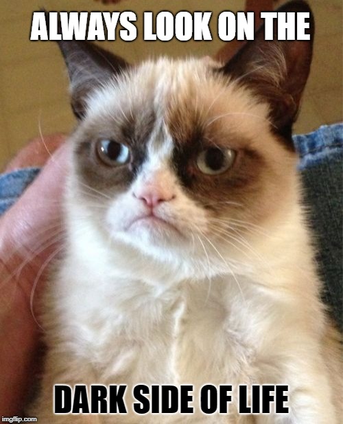 Grumpy Cat Meme | ALWAYS LOOK ON THE DARK SIDE OF LIFE | image tagged in memes,grumpy cat | made w/ Imgflip meme maker