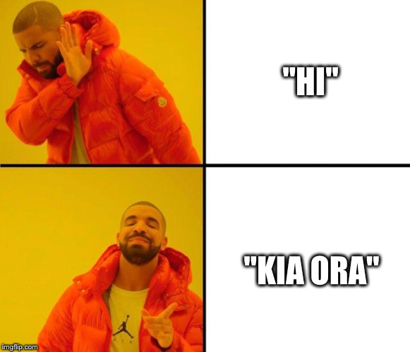 Drake Approves (HD) | "HI"; "KIA ORA" | image tagged in drake approves hd | made w/ Imgflip meme maker