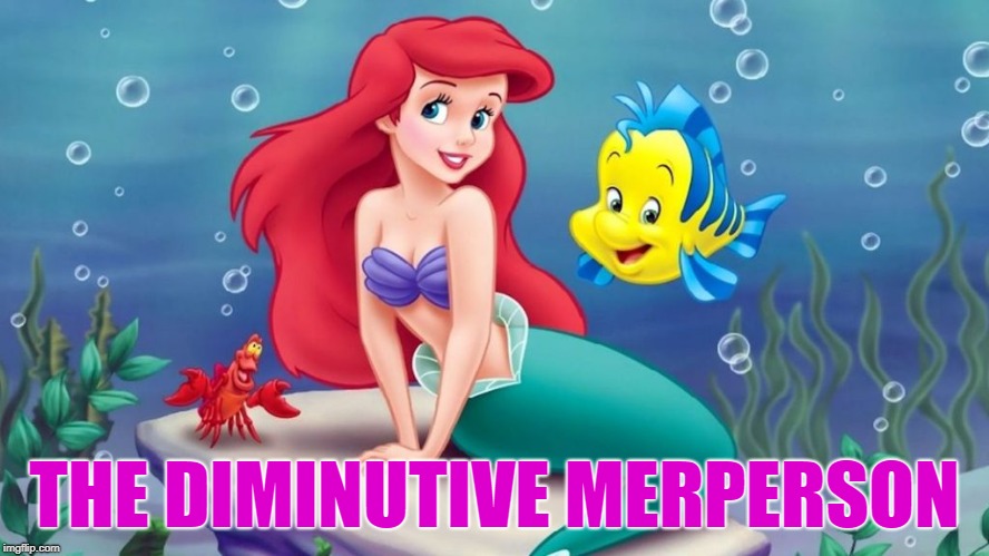 THE DIMINUTIVE MERPERSON | made w/ Imgflip meme maker