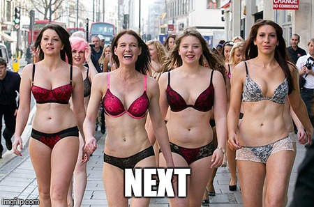 Lingerie Parade NSFW | NEXT | image tagged in lingerie parade nsfw | made w/ Imgflip meme maker