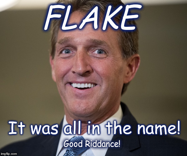 Jeff Flake | FLAKE; It was all in the name! Good Riddance! | image tagged in jeff flake | made w/ Imgflip meme maker
