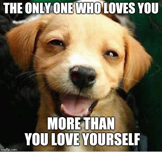 Pets and love | THE ONLY ONE WHO LOVES YOU; MORE THAN YOU LOVE YOURSELF | made w/ Imgflip meme maker