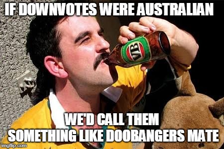 Aussie Bogan | IF DOWNVOTES WERE AUSTRALIAN WE'D CALL THEM SOMETHING LIKE DOOBANGERS MATE | image tagged in aussie bogan | made w/ Imgflip meme maker