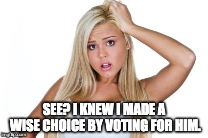 Dumb Blonde | SEE? I KNEW I MADE A WISE CHOICE BY VOTING FOR HIM. | image tagged in dumb blonde | made w/ Imgflip meme maker