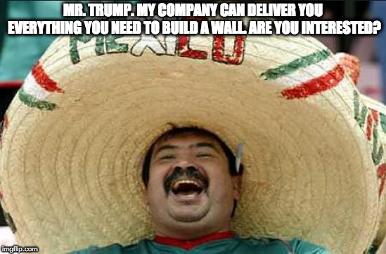 mexican word of the day | MR. TRUMP. MY COMPANY CAN DELIVER YOU EVERYTHING YOU NEED TO BUILD A WALL. ARE YOU INTERESTED? | image tagged in mexican word of the day | made w/ Imgflip meme maker