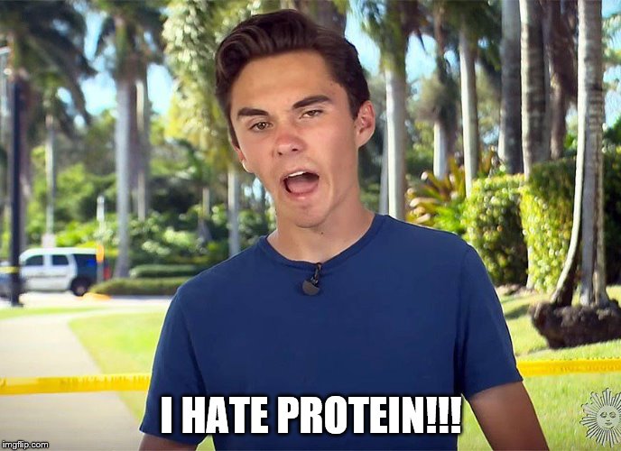 and there I was David Hogg | I HATE PROTEIN!!! | image tagged in and there i was david hogg | made w/ Imgflip meme maker