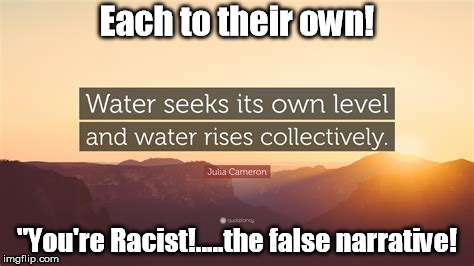 Water seeking its own level.... | Each to their own! "You're Racist!.....the false narrative! | image tagged in race,racism,false narrative | made w/ Imgflip meme maker