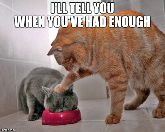 I'LL TELL YOU WHEN YOU'VE HAD ENOUGH | image tagged in cats | made w/ Imgflip meme maker