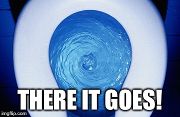 toilet flushing | THERE IT GOES! | image tagged in toilet flushing | made w/ Imgflip meme maker