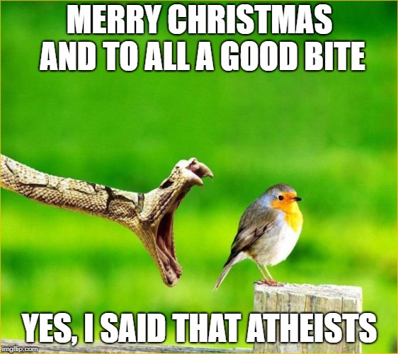 Snake Reality Bites | MERRY CHRISTMAS AND TO ALL A GOOD BITE; YES, I SAID THAT ATHEISTS | image tagged in snake reality bites | made w/ Imgflip meme maker