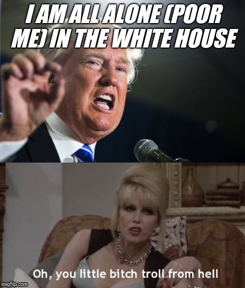 I AM ALL ALONE (POOR ME) IN THE WHITE HOUSE | image tagged in donald trump | made w/ Imgflip meme maker