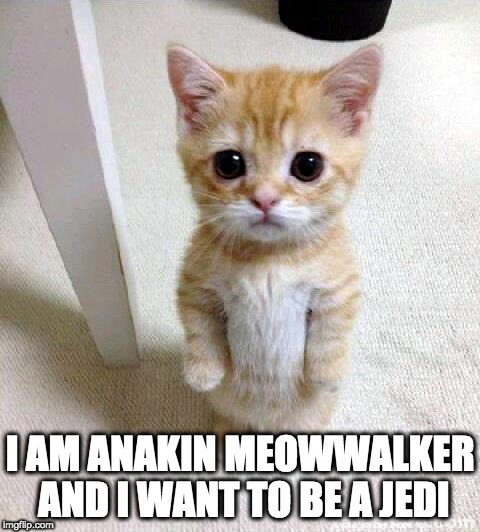 Cute Cat Meme | I AM ANAKIN MEOWWALKER AND I WANT TO BE A JEDI | image tagged in memes,cute cat | made w/ Imgflip meme maker