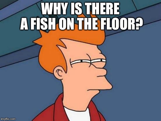 Futurama Fry Meme | WHY IS THERE A FISH ON THE FLOOR? | image tagged in memes,futurama fry | made w/ Imgflip meme maker