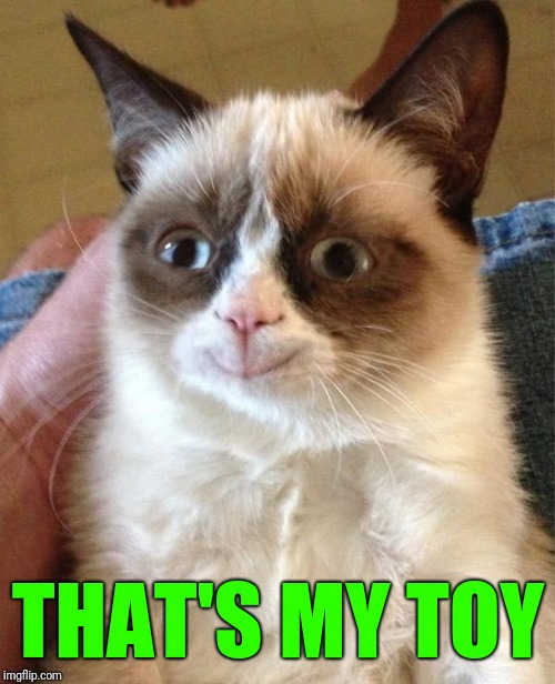 Grumpy Cat Happy Meme | THAT'S MY TOY | image tagged in memes,grumpy cat happy,grumpy cat | made w/ Imgflip meme maker