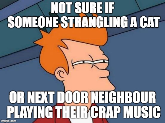 Futurama Fry Meme | NOT SURE IF SOMEONE STRANGLING A CAT OR NEXT DOOR NEIGHBOUR PLAYING THEIR CRAP MUSIC | image tagged in memes,futurama fry | made w/ Imgflip meme maker