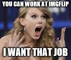 omg | YOU CAN WORK AT IMGFLIP I WANT THAT JOB | image tagged in omg | made w/ Imgflip meme maker