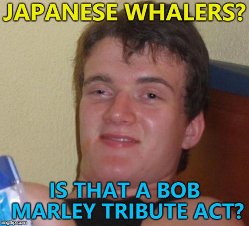 Japan are going to start commercial whaling again | JAPANESE WHALERS? IS THAT A BOB MARLEY TRIBUTE ACT? | image tagged in memes,10 guy,whaling,japan,whales,animals | made w/ Imgflip meme maker