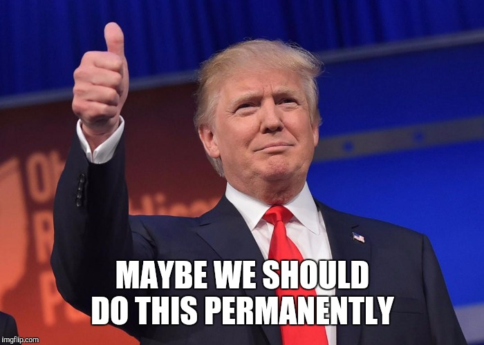 donald trump | MAYBE WE SHOULD DO THIS PERMANENTLY | image tagged in donald trump | made w/ Imgflip meme maker