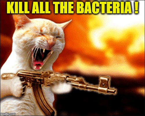 KILL ALL THE BACTERIA ! | made w/ Imgflip meme maker