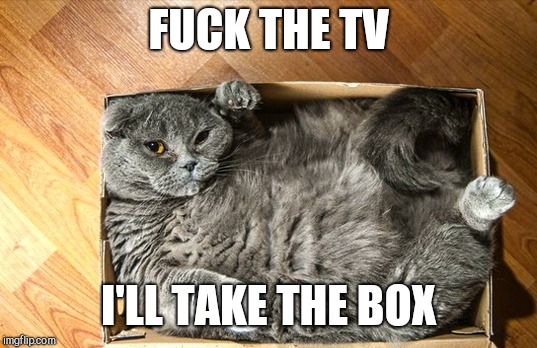 cat in a box | F**K THE TV I'LL TAKE THE BOX | image tagged in cat in a box | made w/ Imgflip meme maker