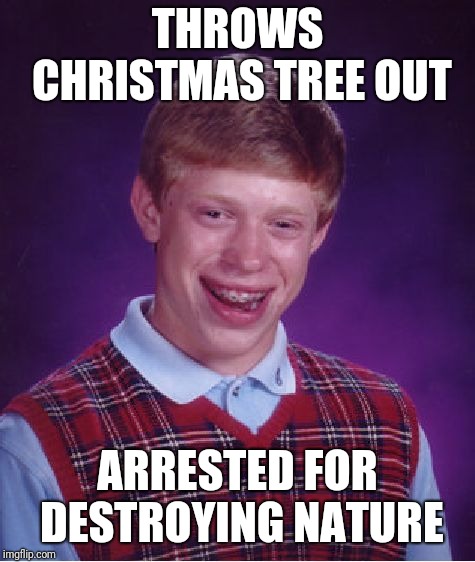 Well Christmas is gone.. and we have to wait another year for it again | THROWS CHRISTMAS TREE OUT; ARRESTED FOR DESTROYING NATURE | image tagged in memes,bad luck brian,christmas | made w/ Imgflip meme maker