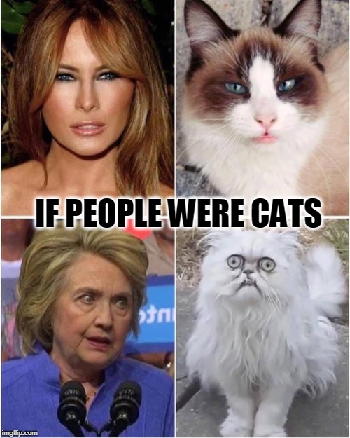 The First Ladies as Cats | IF PEOPLE WERE CATS | image tagged in vince vance,hillary clinton,cats,first lady,melania trump,funny cat memes | made w/ Imgflip meme maker